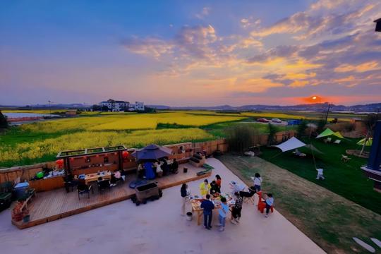 图片 1.png 图片 1.png